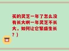 买的灵芝一年了怎么没有长大啊一年灵芝不长大，如何让它繁盛生长？)