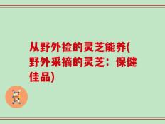从野外捡的灵芝能养(野外采摘的灵芝：保健佳品)
