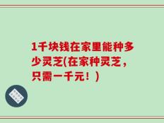 1千块钱在家里能种多少灵芝(在家种灵芝，只需一千元！)