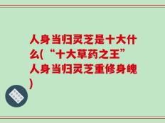 人身当归灵芝是十大什么(“十大草药之王”人身当归灵芝重修身魄)