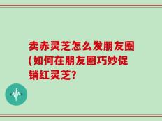 卖赤灵芝怎么发朋友圈(如何在朋友圈巧妙促销红灵芝？