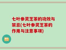 七叶参灵芝茶的功效与禁忌(七叶参灵芝茶的作用与注意事项)