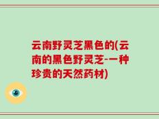 云南野灵芝黑色的(云南的黑色野灵芝-一种珍贵的天然药材)