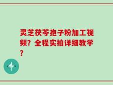 灵芝茯苓孢子粉加工视频？全程实拍详细教学？
