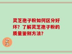 灵芝孢子粉如何区分好坏？了解灵芝孢子粉的质量鉴别方法？