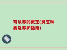 可以养的灵芝(灵芝种类及养护指南)