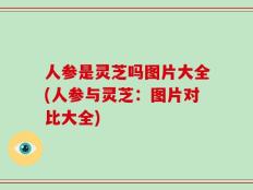 人参是灵芝吗图片大全(人参与灵芝：图片对比大全)