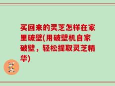 买回来的灵芝怎样在家里破壁(用破壁机自家破壁，轻松提取灵芝精华)