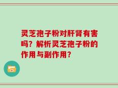 灵芝孢子粉对肝肾有害吗？解析灵芝孢子粉的作用与副作用？