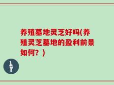 养殖墓地灵芝好吗(养殖灵芝墓地的盈利前景如何？)