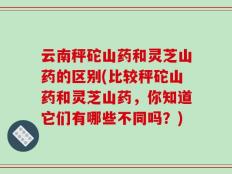 云南秤砣山药和灵芝山药的区别(比较秤砣山药和灵芝山药，你知道它们有哪些不同吗？)