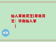 仙人草田灵芝(草田灵芝：华南仙人掌      )