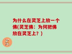 为什么在灵芝上放一个佛(灵芝佛：为何把佛放在灵芝上？)