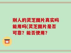 别人的灵芝图片真实吗能用吗(灵芝图片是否可靠？能否使用？