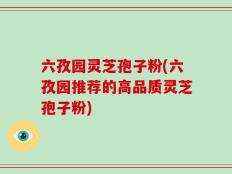 六孜园灵芝孢子粉(六孜园推荐的高品质灵芝孢子粉)