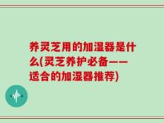 养灵芝用的加湿器是什么(灵芝养护必备——适合的加湿器推荐)