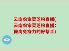 云南农家灵芝粉直播(云南农家灵芝粉直播：提高免疫力的好帮手)