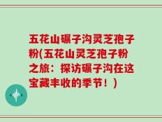 五花山碾子沟灵芝孢子粉(五花山灵芝孢子粉之旅：探访碾子沟在这宝藏丰收的季节！)