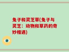 兔子和灵芝草(兔子与灵芝：动物和草药的奇妙相遇)