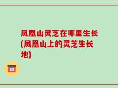 凤凰山灵芝在哪里生长(凤凰山上的灵芝生长地)