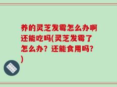 养的灵芝发霉怎么办啊还能吃吗(灵芝发霉了怎么办？还能食用吗？)