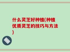 什么灵芝好种植(种植优质灵芝的技巧与方法)