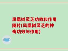 凤凰树灵芝功效和作用图片(凤凰树灵芝的神奇功效与作用)