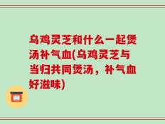 乌鸡灵芝和什么一起煲汤补气血(乌鸡灵芝与当归共同煲汤，补气血好滋味)