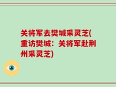 关将军去樊城采灵芝(重访樊城：关将军赴荆州采灵芝)