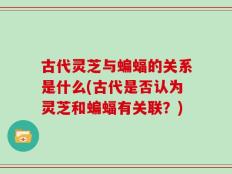 古代灵芝与蝙蝠的关系是什么(古代是否认为灵芝和蝙蝠有关联？)