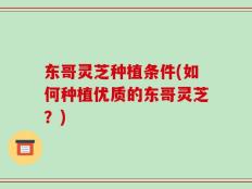东哥灵芝种植条件(如何种植优质的东哥灵芝？)