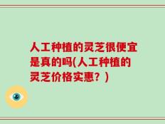 人工种植的灵芝很便宜是真的吗(人工种植的灵芝价格实惠？)