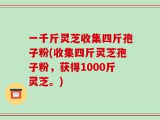 一千斤灵芝收集四斤孢子粉(收集四斤灵芝孢子粉，获得1000斤灵芝。)