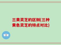 三黄灵芝的区别(三种黄色灵芝的特点对比)