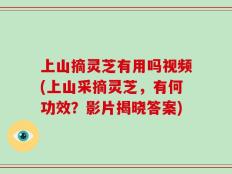 上山摘灵芝有用吗视频(上山采摘灵芝，有何功效？影片揭晓答案)