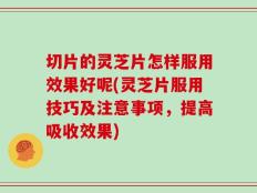 切片的灵芝片怎样服用效果好呢(灵芝片服用技巧及注意事项，提高吸收效果)