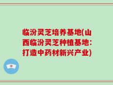 临汾灵芝培养基地(山西临汾灵芝种植基地：打造中药材新兴产业)
