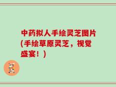 中药拟人手绘灵芝图片(手绘草原灵芝，视觉盛宴！)
