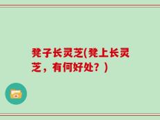 凳子长灵芝(凳上长灵芝，有何好处？)