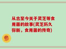 从古至今关于灵芝等食用菌的故事(灵芝历久弥新，食用菌的传奇)
