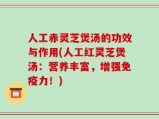 人工赤灵芝煲汤的功效与作用(人工红灵芝煲汤：营养丰富，增强免疫力！)