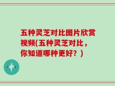 五种灵芝对比图片欣赏视频(五种灵芝对比，你知道哪种更好？)