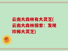 云南大森林有大灵芝(云南大森林探索：发现珍稀大灵芝)