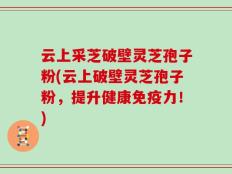 云上采芝破壁灵芝孢子粉(云上破壁灵芝孢子粉，提升健康免疫力！)