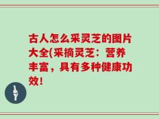 古人怎么采灵芝的图片大全(采摘灵芝：营养丰富，具有多种健康功效！