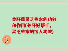 养肝草灵芝煮水的功效和作用(养肝好帮手，灵芝草水的惊人功效)
