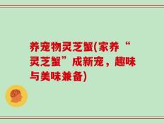 养宠物灵芝蟹(家养“灵芝蟹”成新宠，趣味与美味兼备)