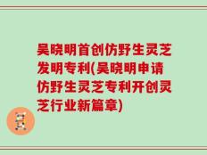 吴晓明首创仿野生灵芝发明专利(吴晓明申请仿野生灵芝专利开创灵芝行业新篇章)