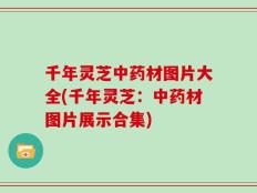 千年灵芝中药材图片大全(千年灵芝：中药材图片展示合集)