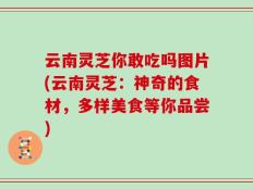 云南灵芝你敢吃吗图片(云南灵芝：神奇的食材，多样美食等你品尝)
